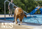 20.09.2026, Freibad Bad Wörishofen (Bayern), Hundebadetag im Freibad Sonnenbüchl in Bad Wörishofen. Nach der offizielle Schliessung des Bades für die Sommergäste dürfen die Hunde nochmal nach Herzenslust ins ungechlorte Wasser springen und toben. 