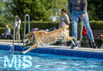 20.09.2026, Freibad Bad Wörishofen (Bayern), Hundebadetag im Freibad Sonnenbüchl in Bad Wörishofen. Nach der offizielle Schliessung des Bades für die Sommergäste dürfen die Hunde nochmal nach Herzenslust ins ungechlorte Wasser springen und toben. 