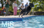20.09.2026, Freibad Bad Wörishofen (Bayern), Hundebadetag im Freibad Sonnenbüchl in Bad Wörishofen. Nach der offizielle Schliessung des Bades für die Sommergäste dürfen die Hunde nochmal nach Herzenslust ins ungechlorte Wasser springen und toben. 