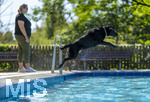 20.09.2026, Freibad Bad Wörishofen (Bayern), Hundebadetag im Freibad Sonnenbüchl in Bad Wörishofen. Nach der offizielle Schliessung des Bades für die Sommergäste dürfen die Hunde nochmal nach Herzenslust ins ungechlorte Wasser springen und toben. 
