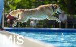 20.09.2026, Freibad Bad Wörishofen (Bayern), Hundebadetag im Freibad Sonnenbüchl in Bad Wörishofen. Nach der offizielle Schliessung des Bades für die Sommergäste dürfen die Hunde nochmal nach Herzenslust ins ungechlorte Wasser springen und toben. 