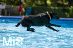 20.09.2026, Freibad Bad Wörishofen (Bayern), Hundebadetag im Freibad Sonnenbüchl in Bad Wörishofen. Nach der offizielle Schliessung des Bades für die Sommergäste dürfen die Hunde nochmal nach Herzenslust ins ungechlorte Wasser springen und toben. 