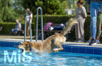 20.09.2026, Freibad Bad Wörishofen (Bayern), Hundebadetag im Freibad Sonnenbüchl in Bad Wörishofen. Nach der offizielle Schliessung des Bades für die Sommergäste dürfen die Hunde nochmal nach Herzenslust ins ungechlorte Wasser springen und toben. 