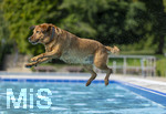 20.09.2026, Freibad Bad Wörishofen (Bayern), Hundebadetag im Freibad Sonnenbüchl in Bad Wörishofen. Nach der offizielle Schliessung des Bades für die Sommergäste dürfen die Hunde nochmal nach Herzenslust ins ungechlorte Wasser springen und toben. 