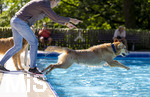 20.09.2026, Freibad Bad Wörishofen (Bayern), Hundebadetag im Freibad Sonnenbüchl in Bad Wörishofen. Nach der offizielle Schliessung des Bades für die Sommergäste dürfen die Hunde nochmal nach Herzenslust ins ungechlorte Wasser springen und toben. 