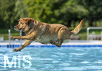 20.09.2026, Freibad Bad Wörishofen (Bayern), Hundebadetag im Freibad Sonnenbüchl in Bad Wörishofen. Nach der offizielle Schliessung des Bades für die Sommergäste dürfen die Hunde nochmal nach Herzenslust ins ungechlorte Wasser springen und toben. 