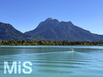 15.09.2026, Urlaub am Forggensee bei Füssen im Allgäu, hinten: Das Schloss Neuschwanstein. 