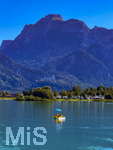 15.09.2026, Urlaub am Forggensee bei Füssen im Allgäu, hinten: Das Schloss Neuschwanstein. Vorne ein Tretboot mit Urlaubern