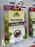 08.10.2026, Zur bekämpfung des Schädlings Dickmaulrüssler gibt es in einem Gartencenter in Bayern die Nematoden (Nützlinge) zur bekämpfung des Käfers und deren Larven, die unbehandelt Wurzeln und Blätter von Tomaten und anderen Pflanzen abfressen.