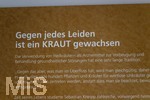 15.10.2026, Kneippkur in Bad Wörishofen im Unterallgäu. Info-Tafeln in der Kurhaus-Pergola erklären die 5 Säulen der Kneipp-Therapie, in der Kneippstadt wird die Kur gelebt und gearbeitet nach Pfarrer Sebastian Kneipp.  Kräuter