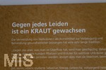 15.10.2026, Kneippkur in Bad Wörishofen im Unterallgäu. Info-Tafeln in der Kurhaus-Pergola erklären die 5 Säulen der Kneipp-Therapie, in der Kneippstadt wird die Kur gelebt und gearbeitet nach Pfarrer Sebastian Kneipp.  Kräuter