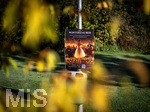 17.10.2026,  Bad Wörishofen, der Kurpark leuchtet in den Herbstfarben. Ein Plakat kündigt jedoch schon einen Winterzauber im Kurhaus an.