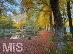 30.10.2026,  Bad Wörishofen, der Kurpark leuchtet in den Herbstfarben. 