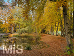 30.10.2026,  Bad Wörishofen, der Kurpark leuchtet in den Herbstfarben. 