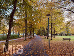 30.10.2026,  Bad Wörishofen, der Kurpark leuchtet in den Herbstfarben. 