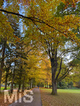 30.10.2026,  Bad Wörishofen, der Kurpark leuchtet in den Herbstfarben. 
