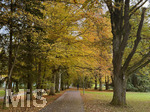 30.10.2026,  Bad Wörishofen, der Kurpark leuchtet in den Herbstfarben. 